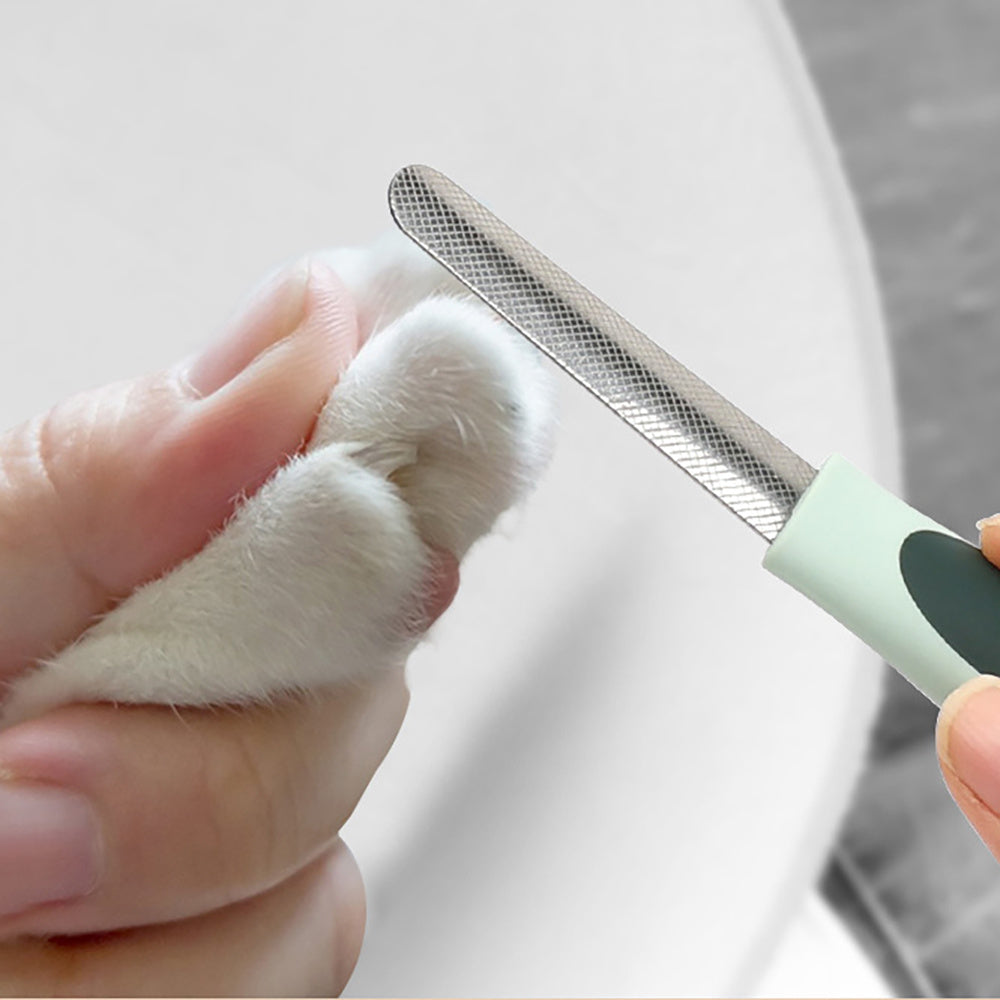 🐶 Dog Grooming Kit