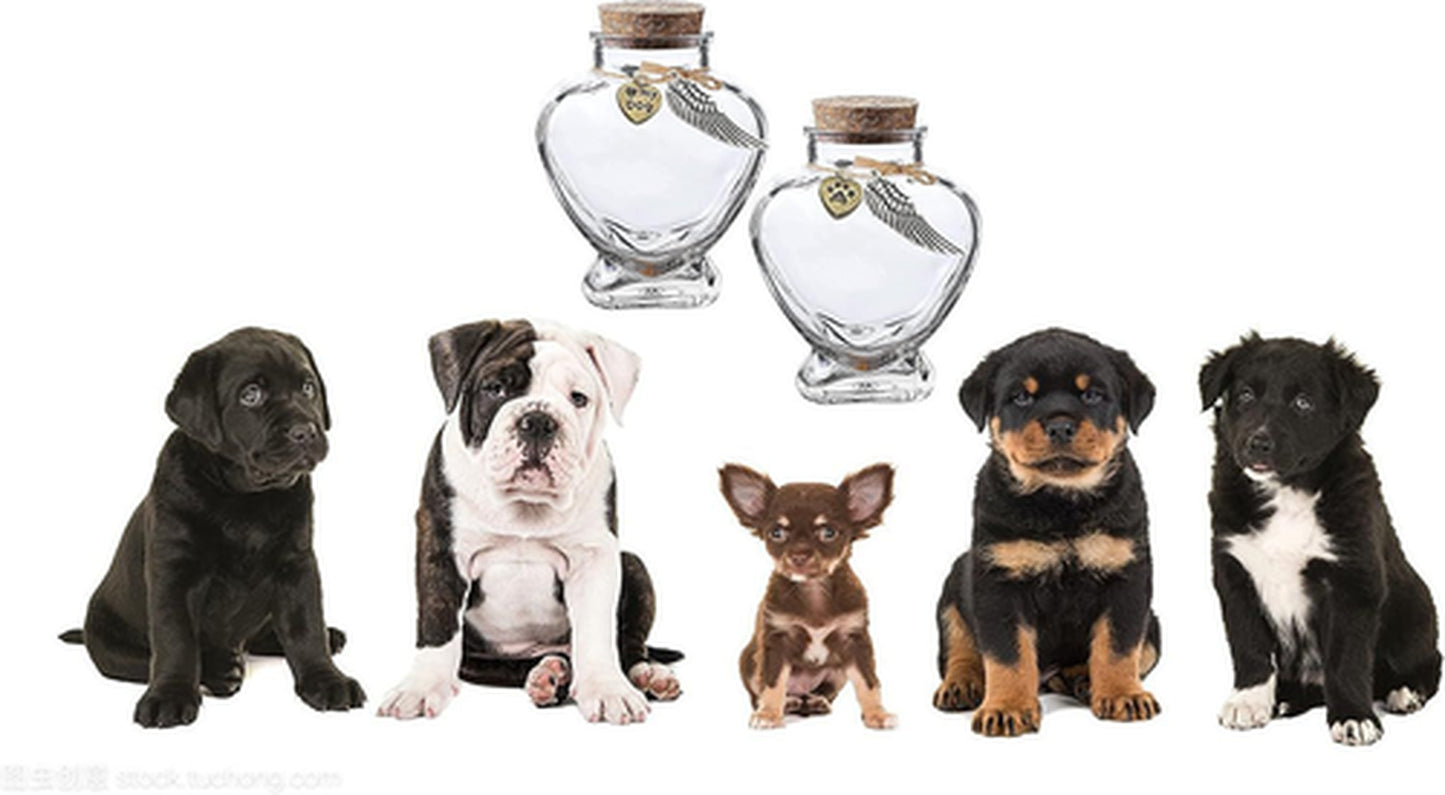 Pet Memorial Bottle for Fur Keepsake - Dog Cat Hair Urn Remembrance Gift Jar