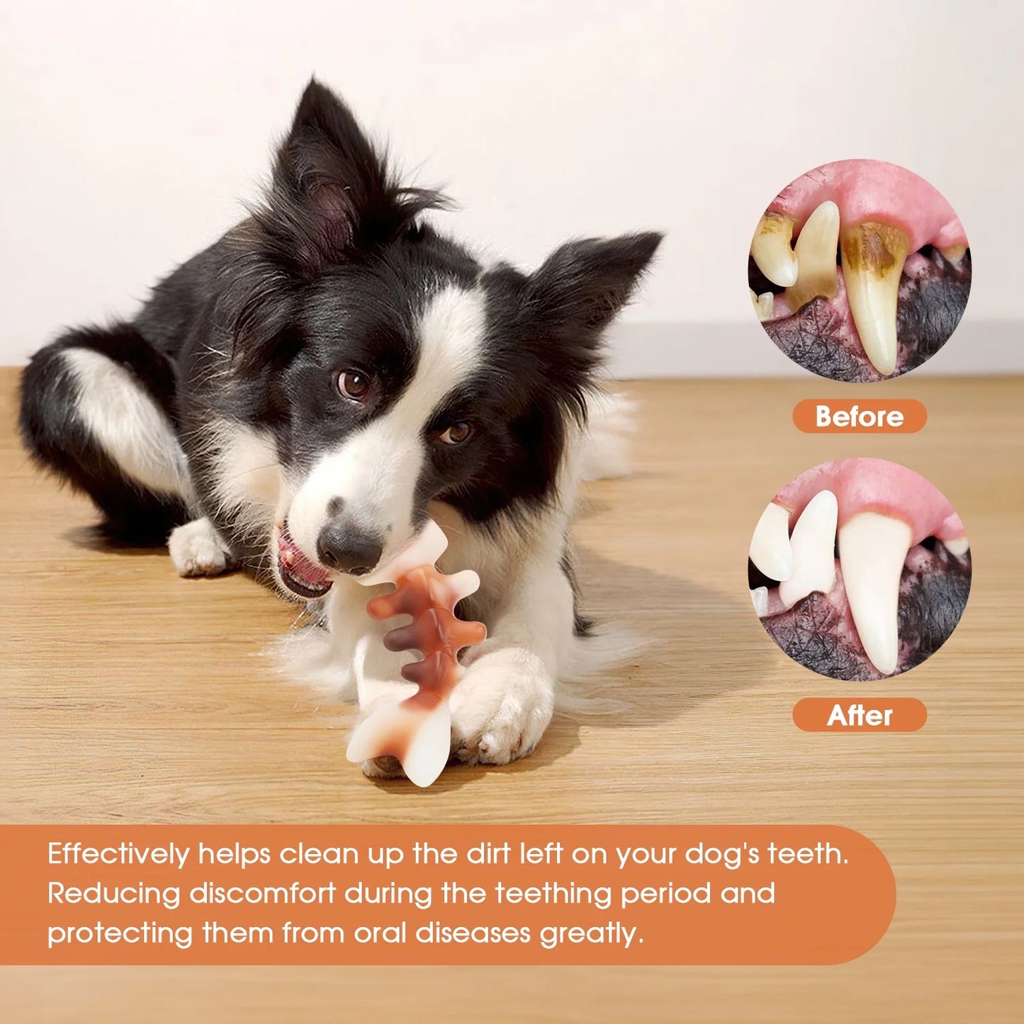 Fishbone Durable Dog Chew Toy for Aggressive Chewers, Real Fish, Nylon Pet Toys