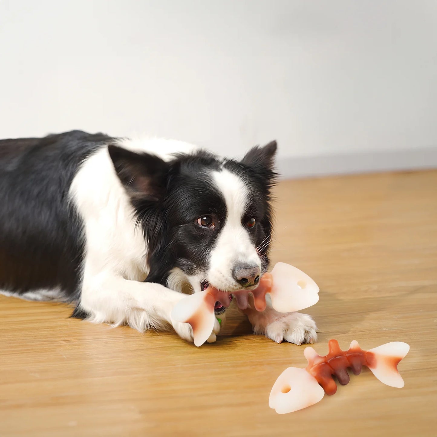 Fishbone Durable Dog Chew Toy for Aggressive Chewers, Real Fish, Nylon Pet Toys